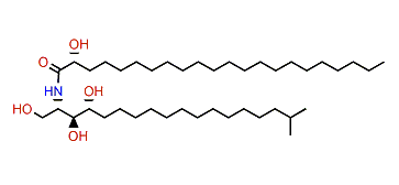 Monanchoramide C